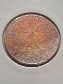 5 zł Głowa Kobiety 1934 r