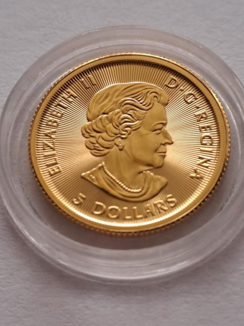 Kanada 5 dolarów Polar Bear 2019 r