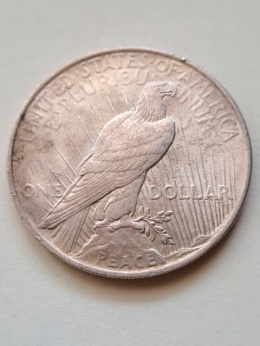USA Dollar Peace 1923 rok