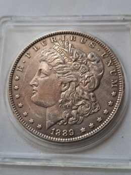 USA Dollar Morgan 1889 r