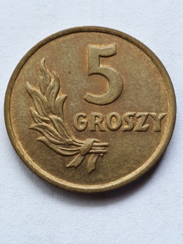 5 Groszy 1949 r