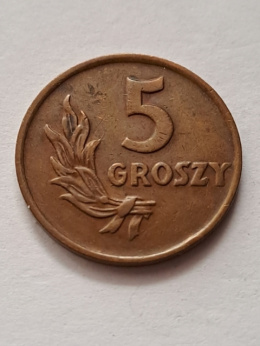5 groszy 1949 r