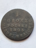1 Grosz Polski 1825 r IB 1 Grosz Polski 1825 r IB