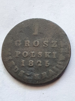 1 Grosz Polski 1825 r IB
