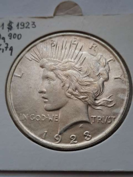 USA Dollar Peace 1923 r