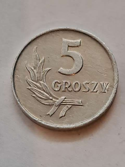 5 groszy 1963 r