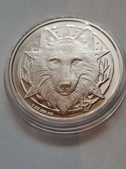 USA Medal Wilk i Konie
