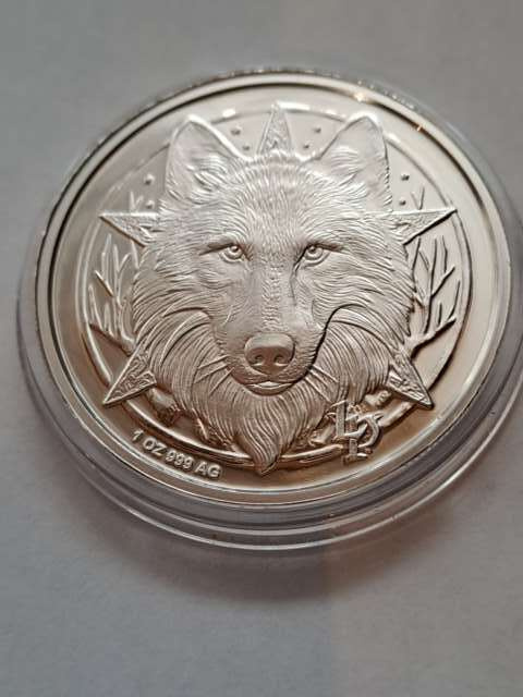 USA Medal Wilk i Konie