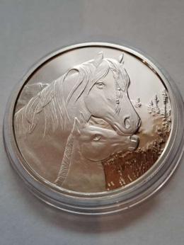 USA Medal Wilk i Konie