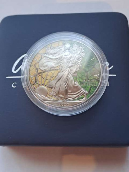USA Dollar Liberty Ziemia 2020 r