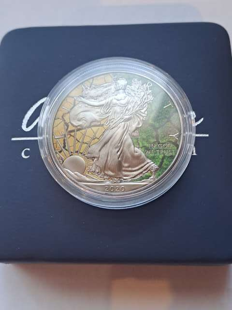 USA Dollar Liberty Ziemia 2020 r USA Dollar Liberty Ziemia 2020 r