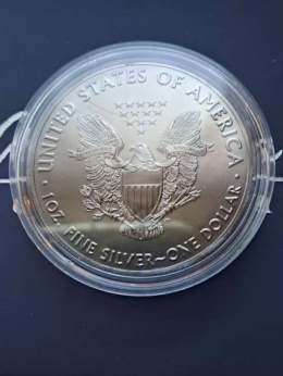 USA Dollar Liberty Ziemia 2020 r