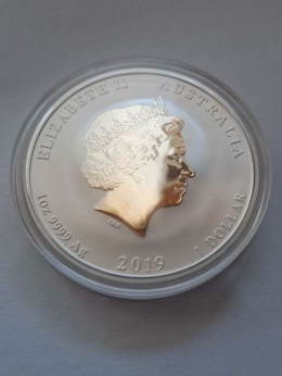 Australia 1 Dolar Rok Świni 2019 r Lunar