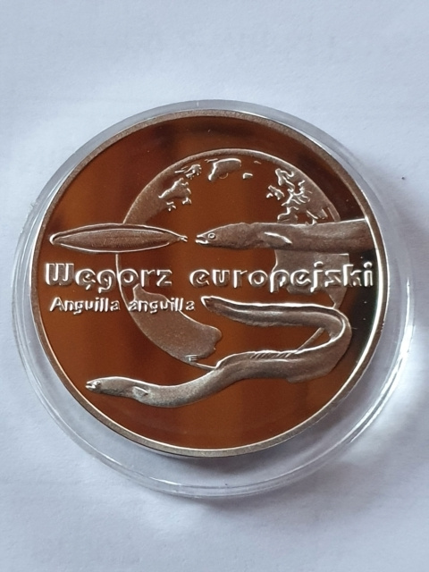 20 zł Węgorz Europejski 2003 rok 20 zł Węgorz Europejski 2003 rok