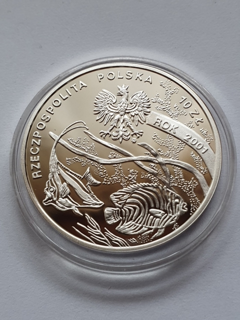 10 zł Michał Siedlecki 2001 r 10 zł Michał Siedlecki 2001 r